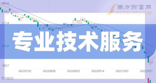 2025展望 解析“专业技术服务概念”及其与技术开发的核心关联